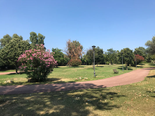 Olbia, Sardinia - Cruise Port Guide